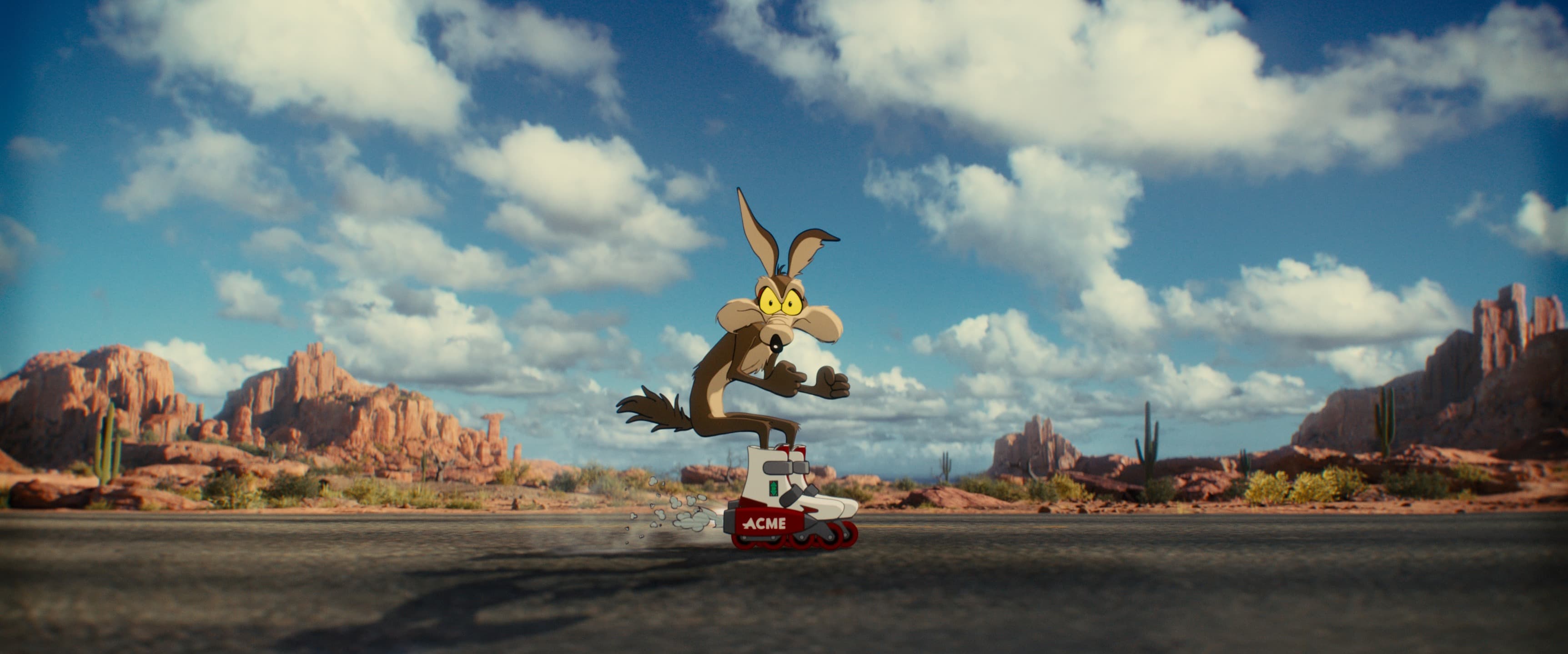 Coyote Vs. Acme