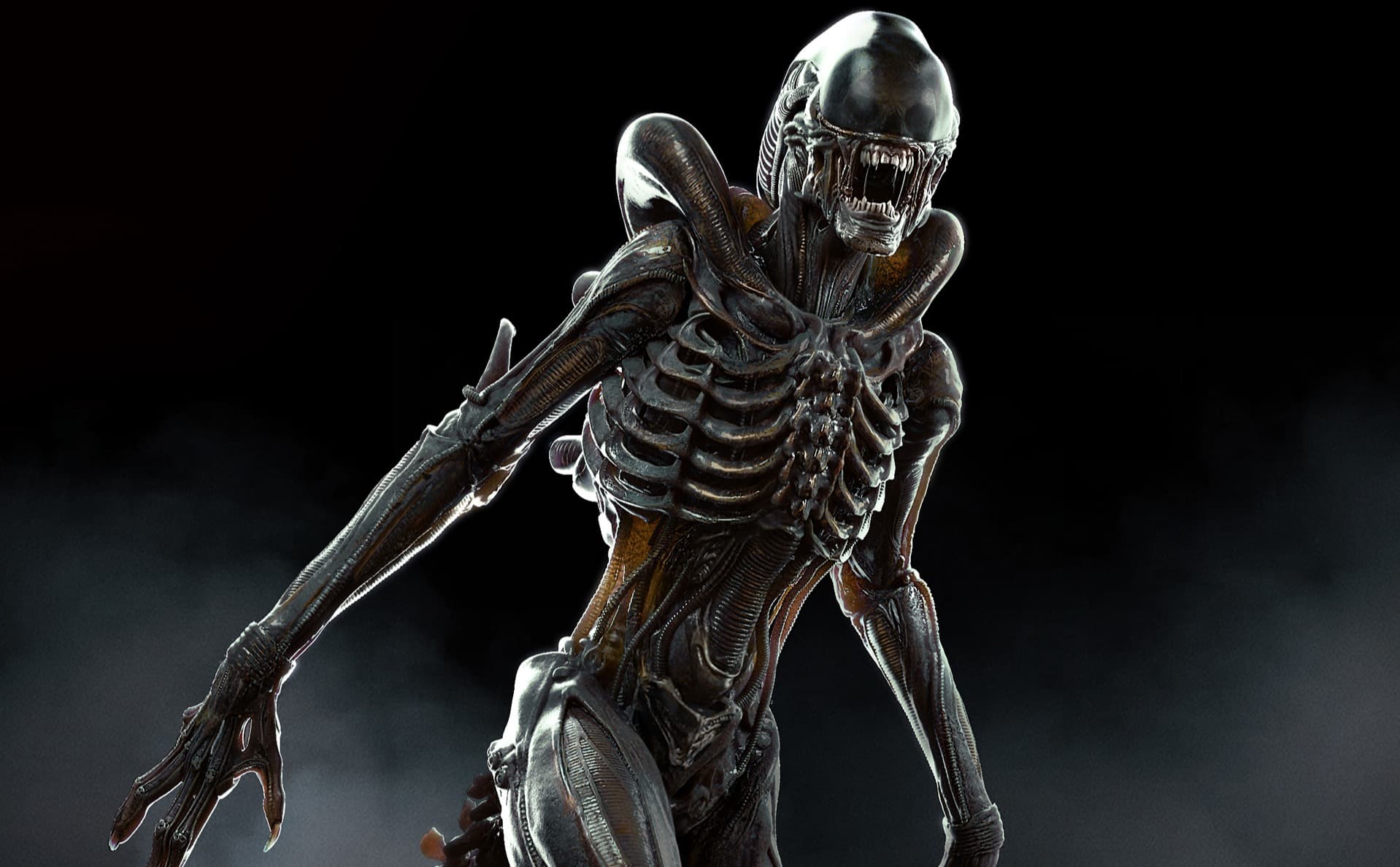 Image - CONCEPT DESIGN - 1