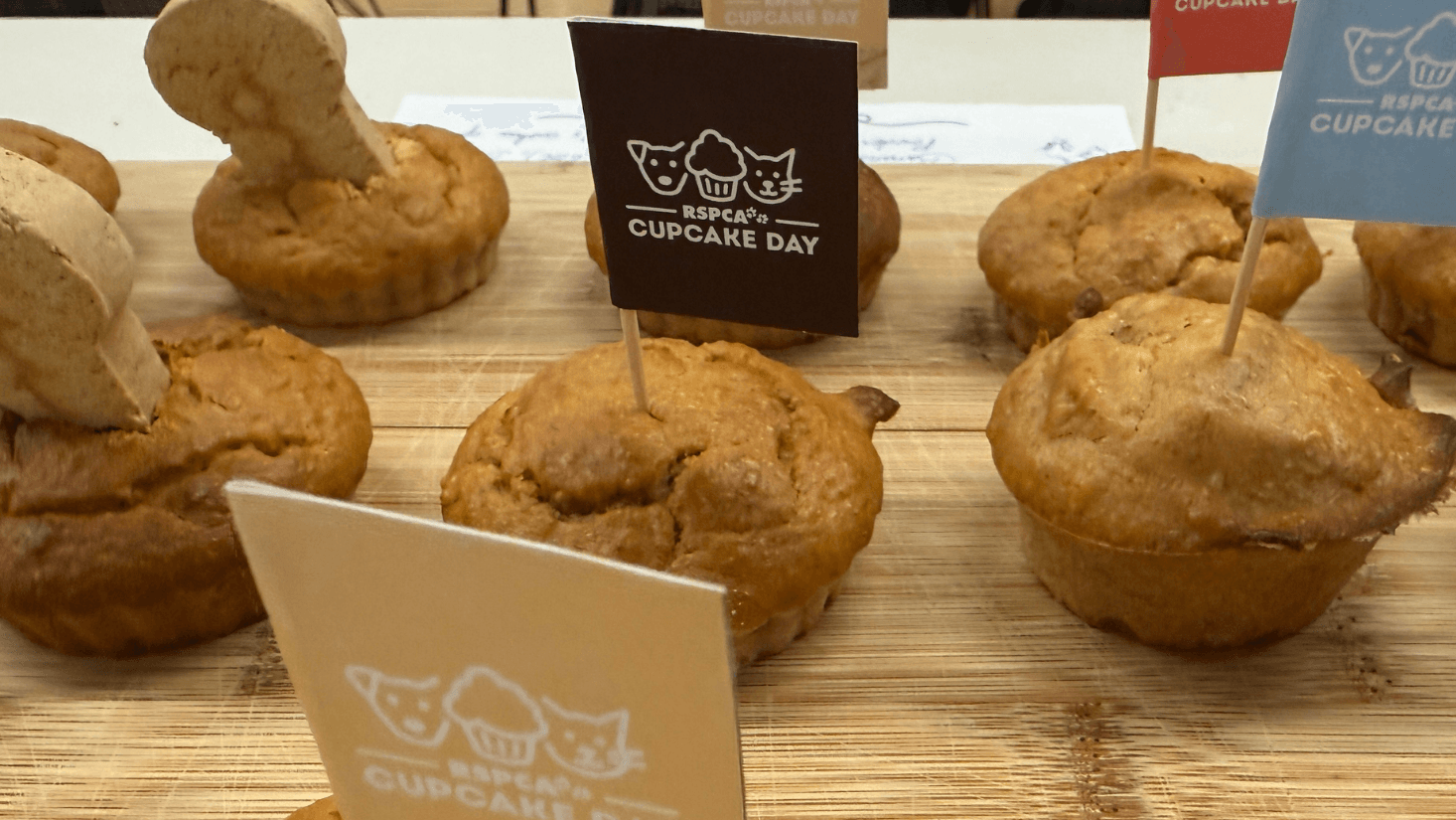 Image - La magie du mixage au-delà de l'écran : la journée Cupcake de la RSPCA chez DNEG Sydney